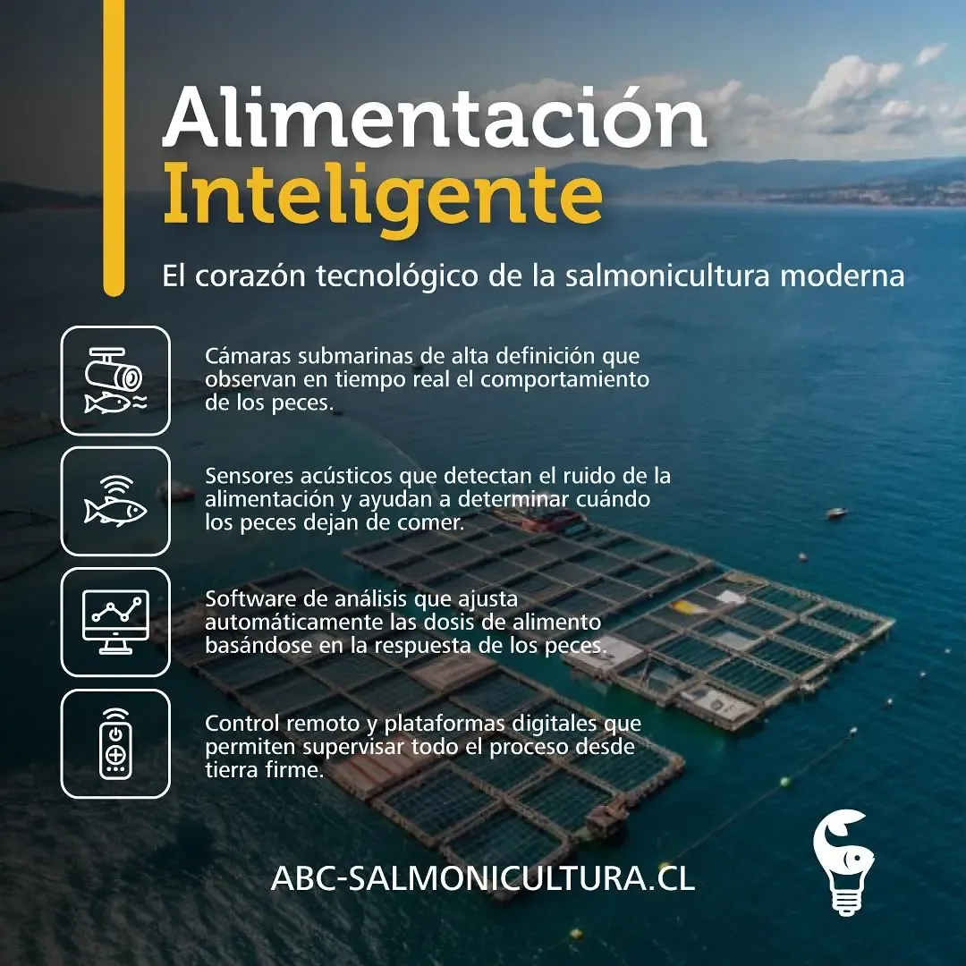 Pieza de ads para ABC Salmonicultura